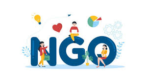 Camino Bursary — Digital Transformation of an NGO - Image 1